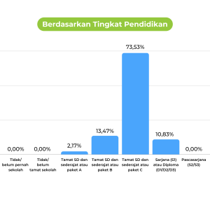 11-dipstatistik-kirteria-pinjaman-online-bulanan-dipstrategy-digital-agency-indonesia